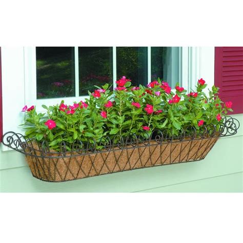 iron window boxes for sale